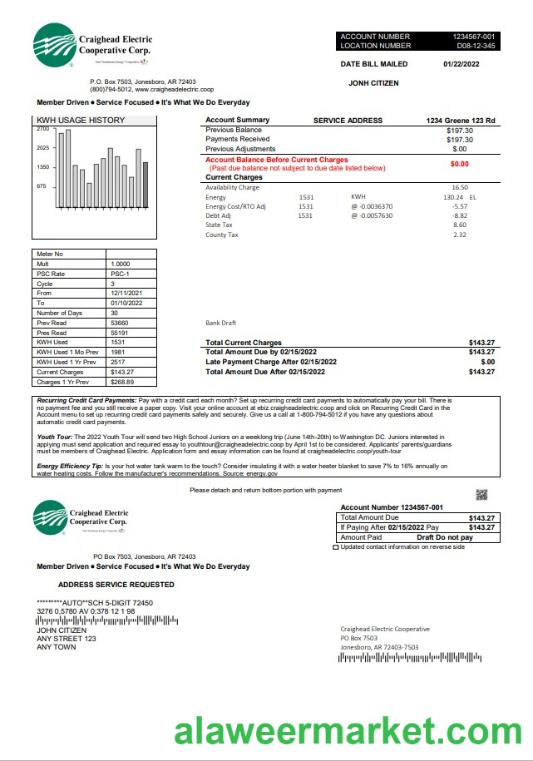 USA Craighead Electric utility bill template in Word and PDF format